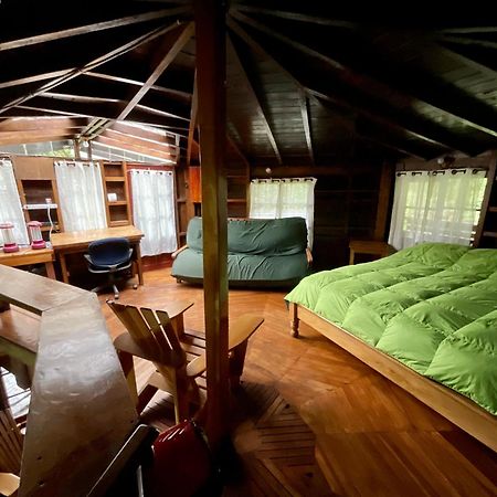 Los Quetzales Ecolodge & Spa Cerro Punta Dış mekan fotoğraf