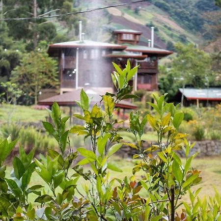 Los Quetzales Ecolodge & Spa Cerro Punta Dış mekan fotoğraf