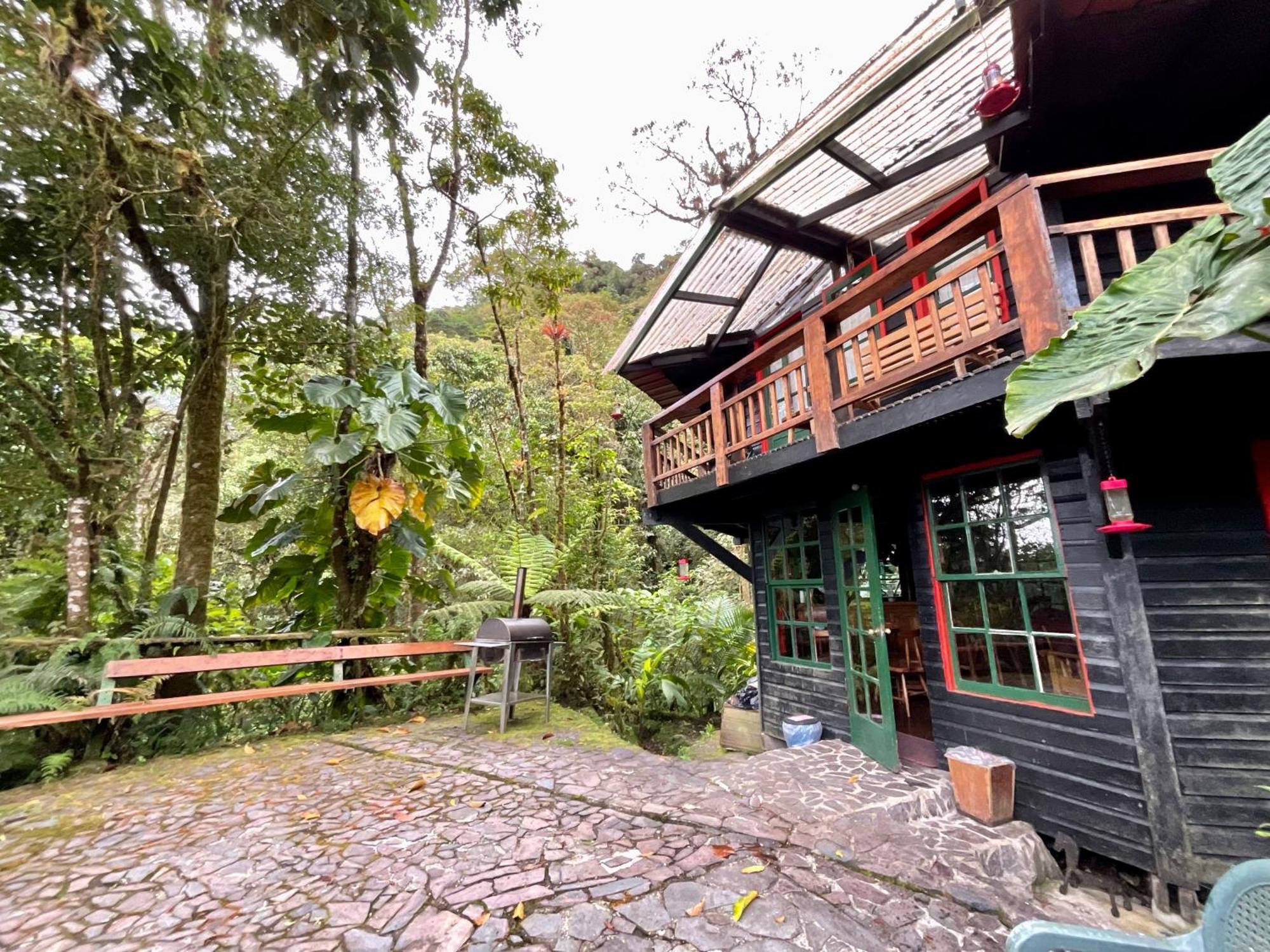 Los Quetzales Ecolodge & Spa Cerro Punta Dış mekan fotoğraf