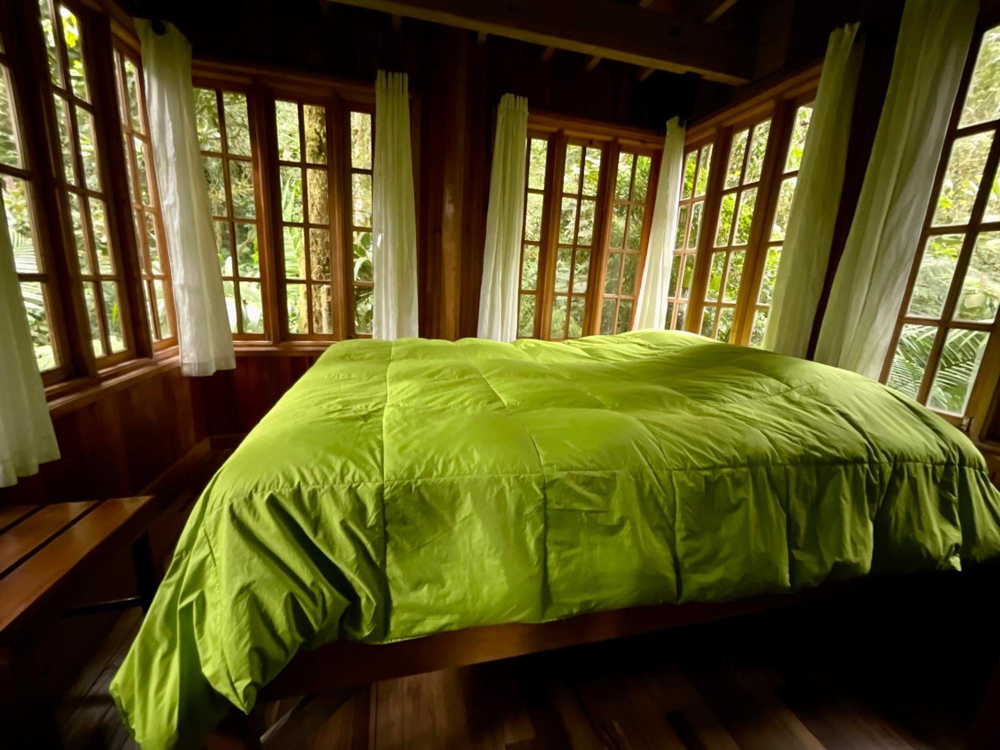 Los Quetzales Ecolodge & Spa Cerro Punta Dış mekan fotoğraf