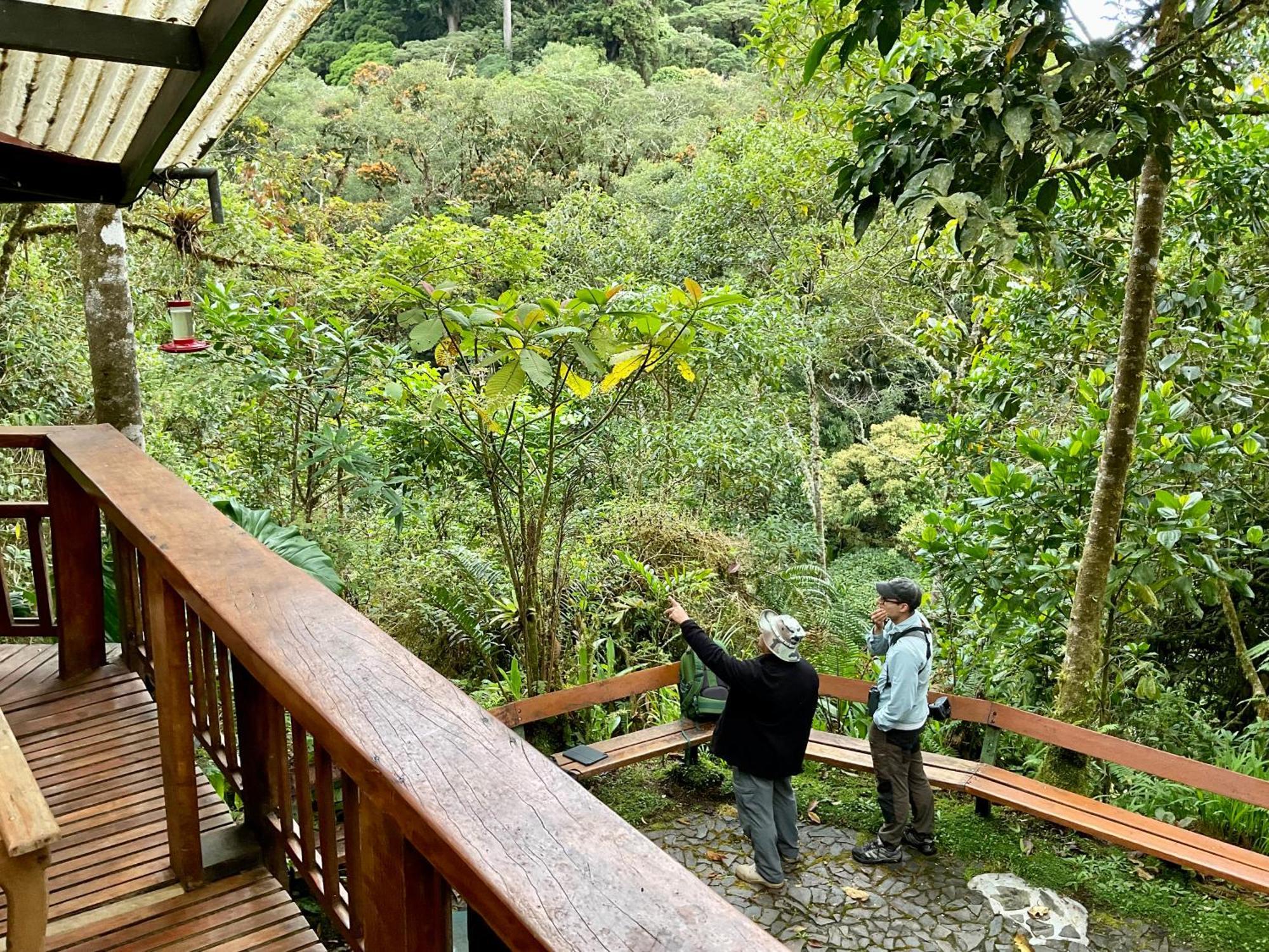 Los Quetzales Ecolodge & Spa Cerro Punta Dış mekan fotoğraf