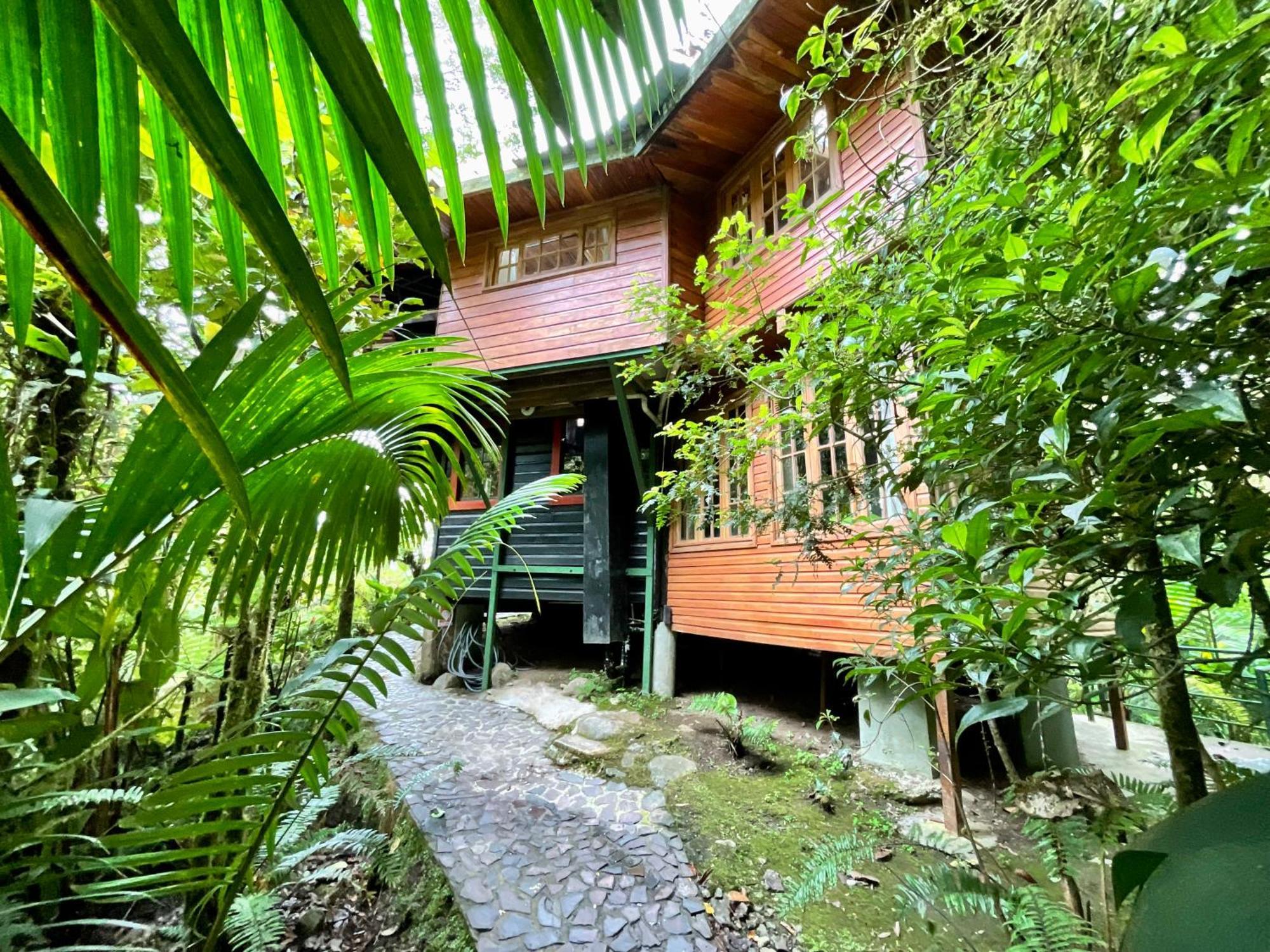 Los Quetzales Ecolodge & Spa Cerro Punta Dış mekan fotoğraf