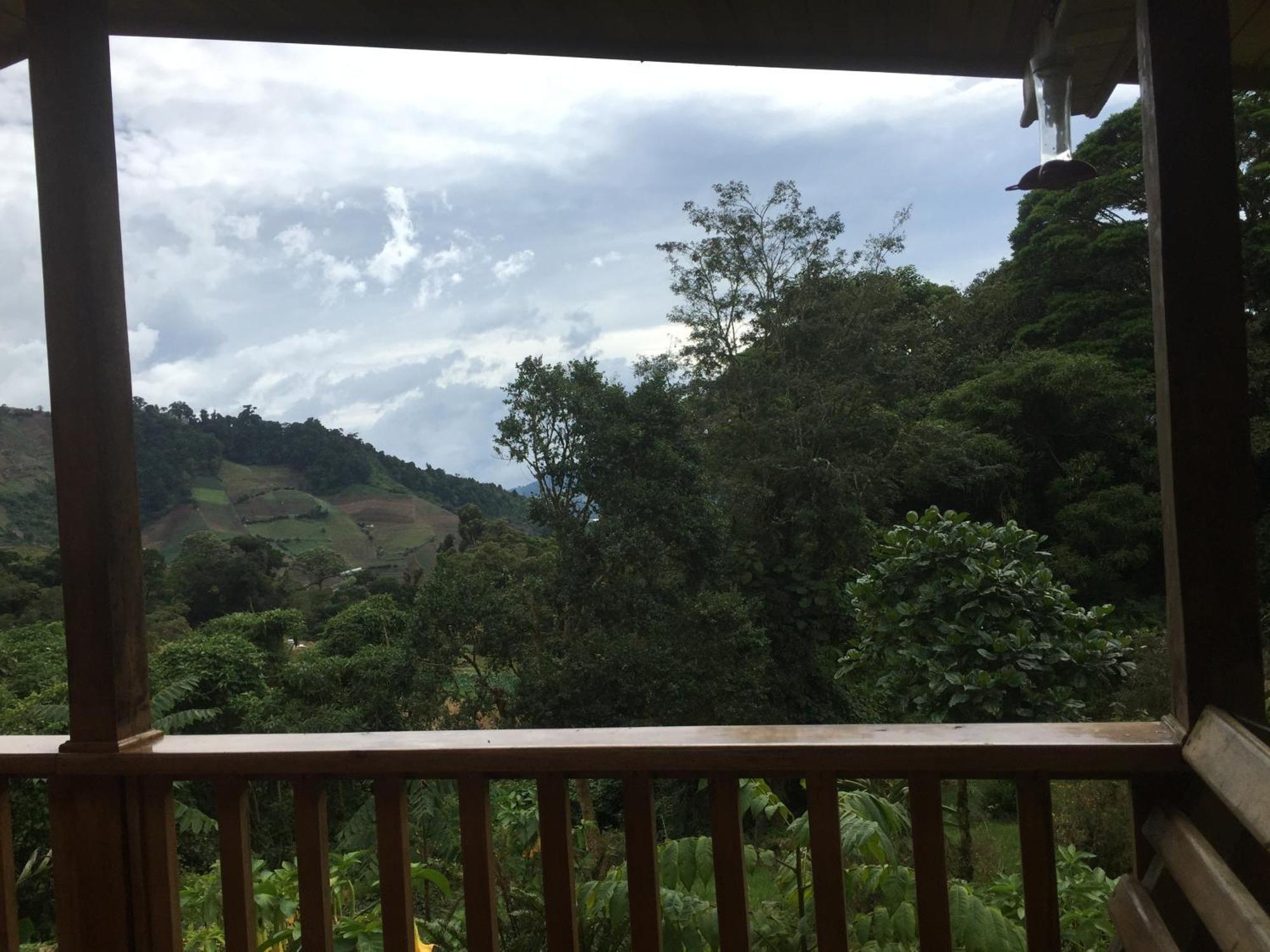 Los Quetzales Ecolodge & Spa Cerro Punta Dış mekan fotoğraf