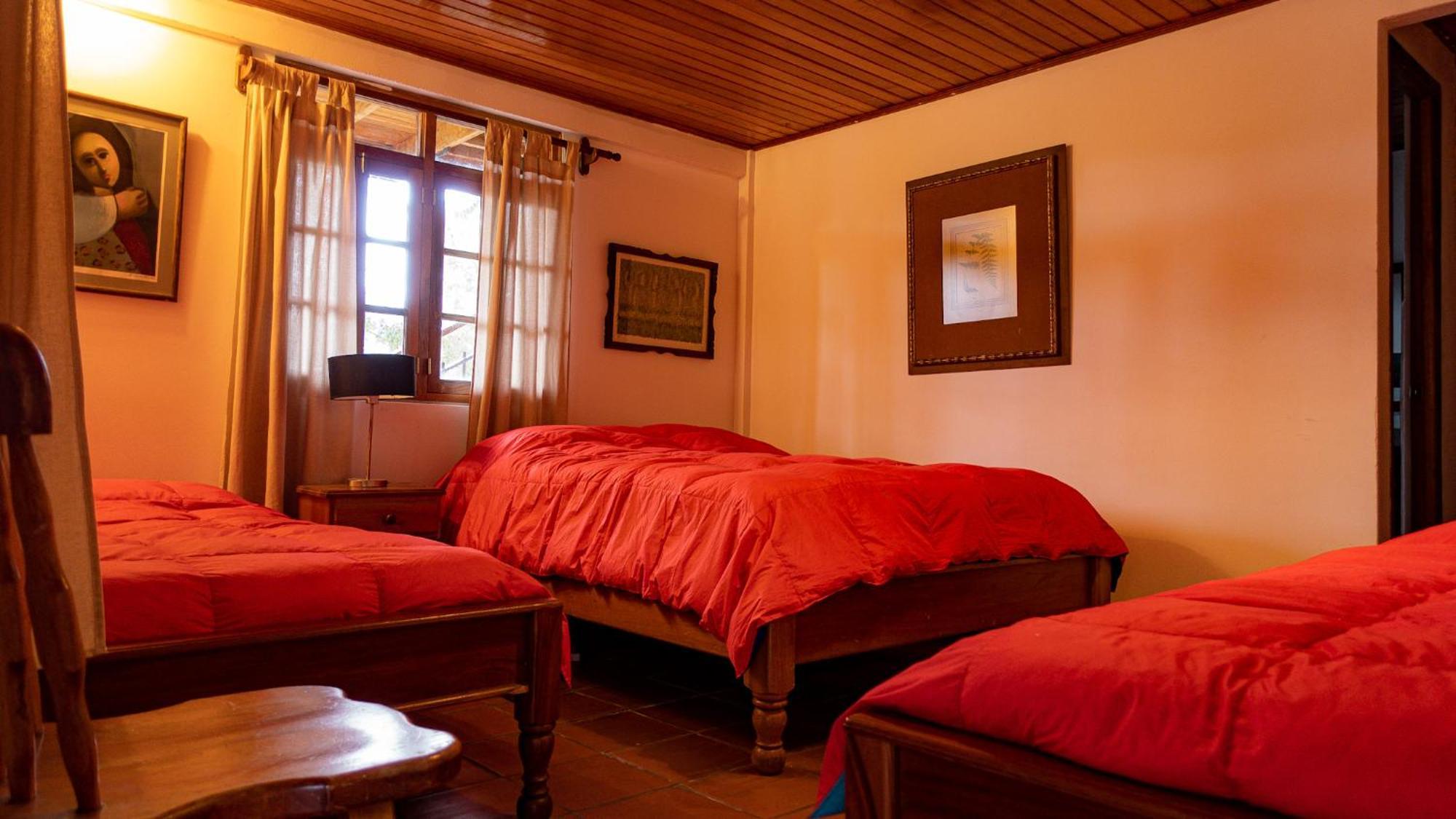 Los Quetzales Ecolodge & Spa Cerro Punta Dış mekan fotoğraf