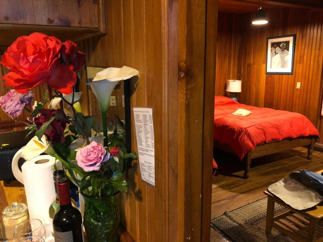 Los Quetzales Ecolodge & Spa Cerro Punta Dış mekan fotoğraf