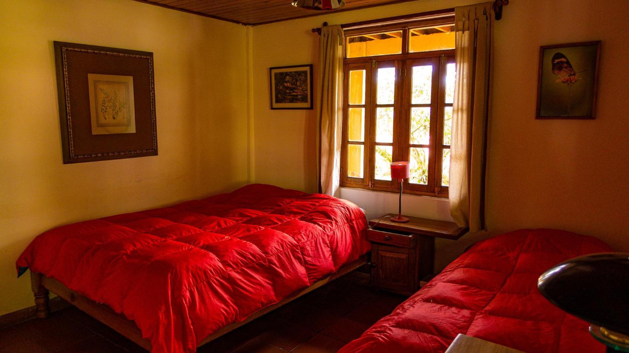 Los Quetzales Ecolodge & Spa Cerro Punta Dış mekan fotoğraf
