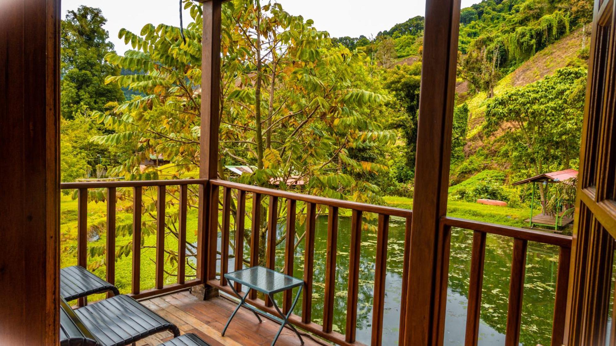 Los Quetzales Ecolodge & Spa Cerro Punta Dış mekan fotoğraf