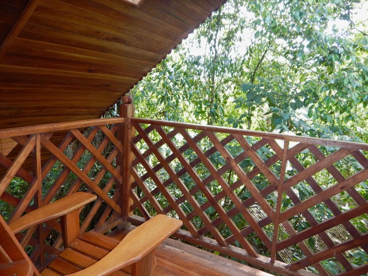 Los Quetzales Ecolodge & Spa Cerro Punta Dış mekan fotoğraf